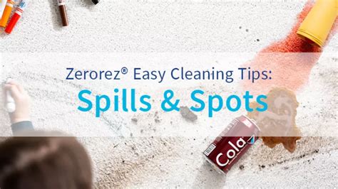 zerorez st louis|zerorez carpet cleaning Saint Louis, MO .